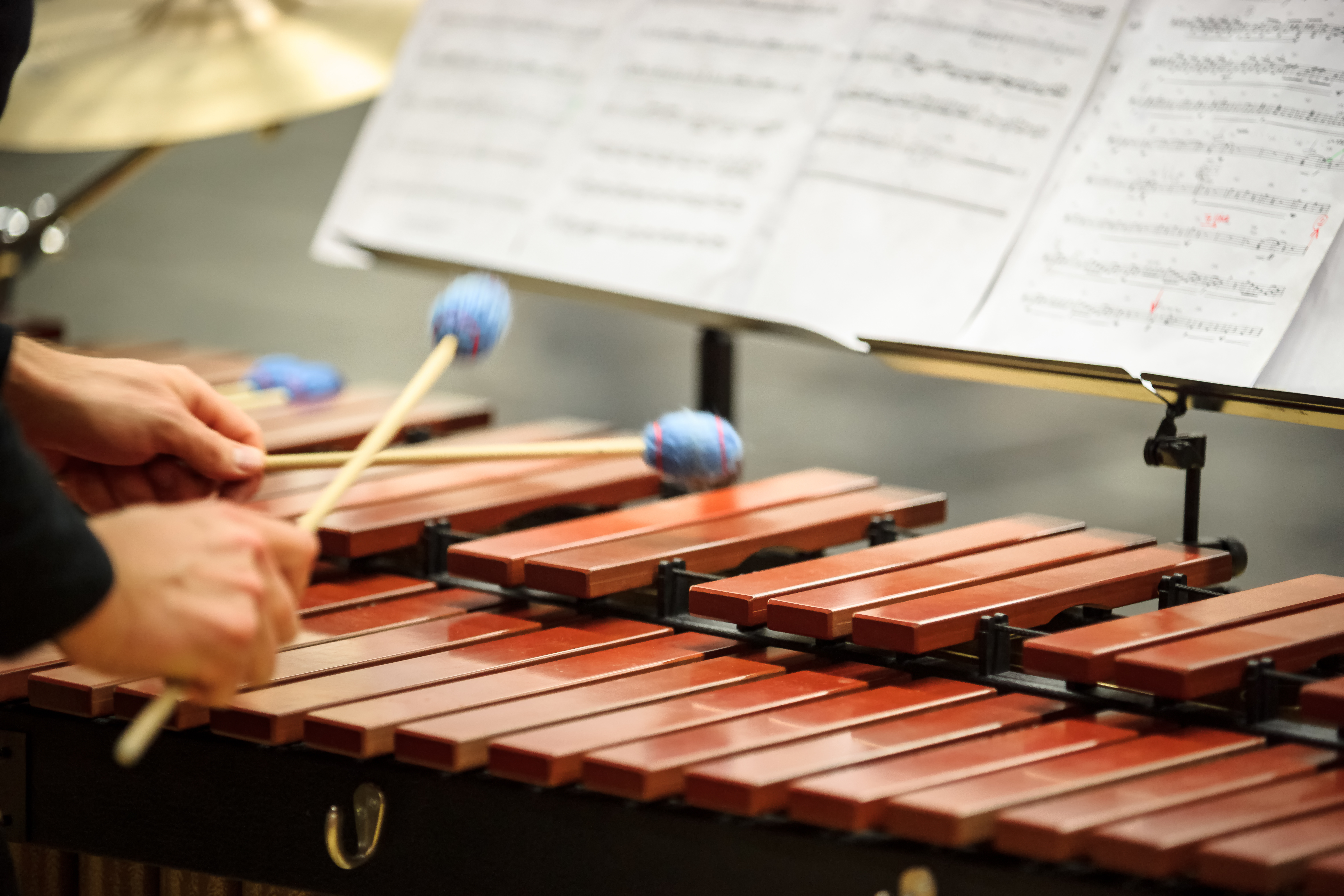Exploring the Different Personalities of Percussion Instruments You ...